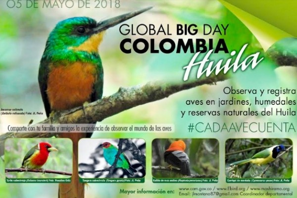 Avistamiento de Aves, una alternativa Turística que tiene su día en el mundo.