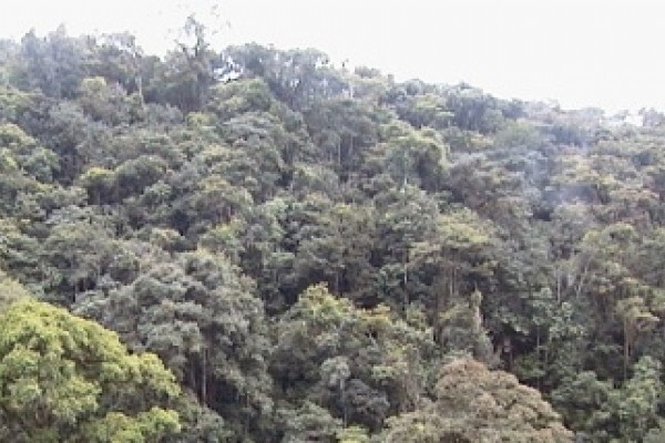 11 nuevas Reservas Naturales quedaron Acreditadas en el Huila