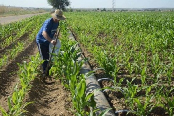 Crédito abierto para productores agropecuarios del municipio de Neiva.