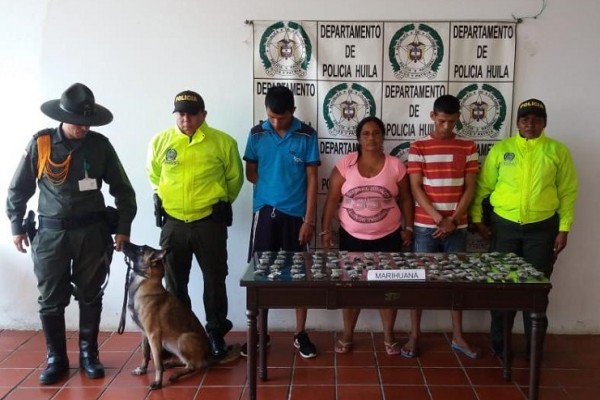 Desarticulados “LOS PIJARES” la banda de delincuentes actuaba en Tello - Huila
