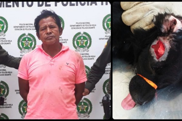 Dejan libre a hombre que cogió a machete a un perro