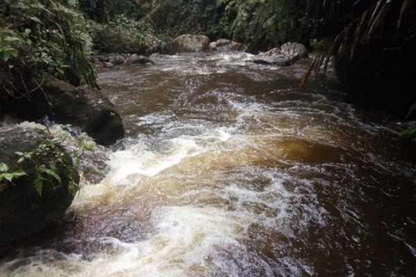 2,4 billones de pesos para Planes Departamentales de Agua
