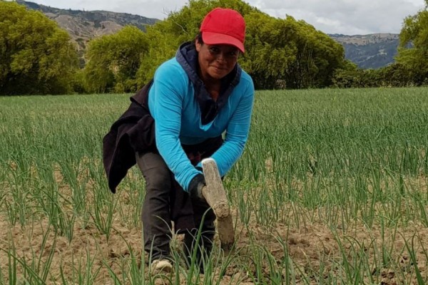 Día Mundial de la Seguridad y Salud en el Trabajo en la Cruz Roja de Neiva
