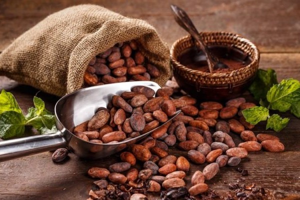Fue lanzado "El Efecto Cacao": alianza de desarrollo rural
