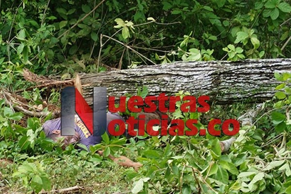 Un árbol le cayó encima en zona rural de Suaza