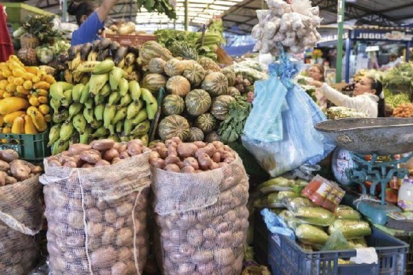 Surabastos abastecido de productores huilenses