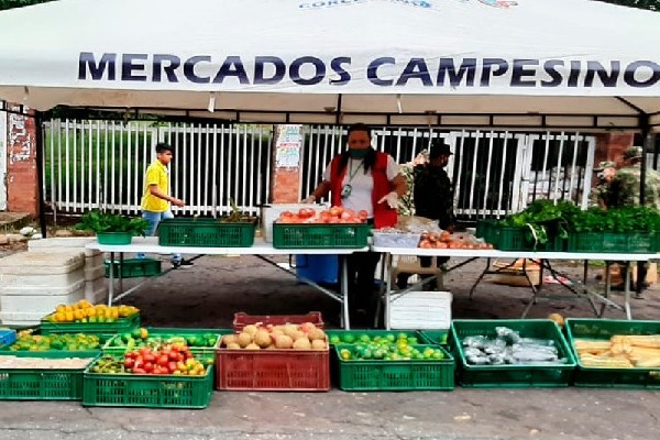 22 productores participaron del mercado campesino