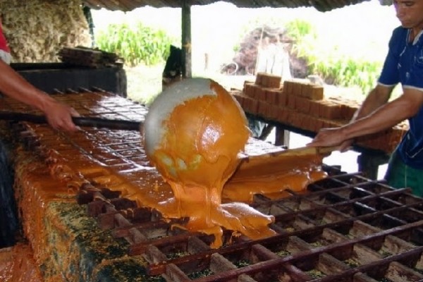 Panela huilense, incursiona en el exterior