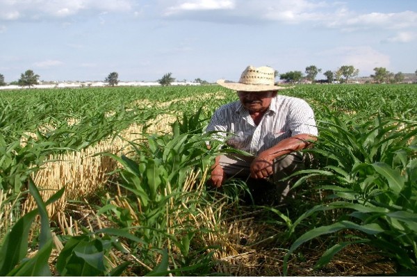 Oferta para pequeños productores agrícolas en Neiva