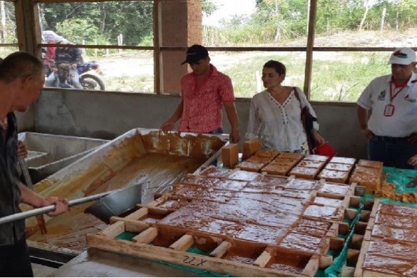Ministerio de Agricultura no avala ninguna patente para producir panela