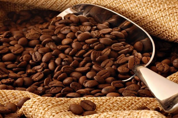 Primera Feria Internacional de café y cacao en el Huila