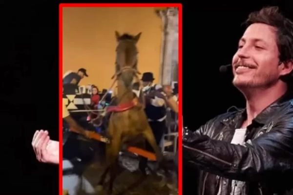 Alejandro Riaño denunció caso de maltrato animal en Cartagena