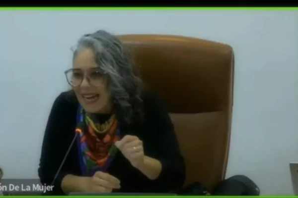 Hackean sesión en el Congreso y colocaron vídeo pornografico