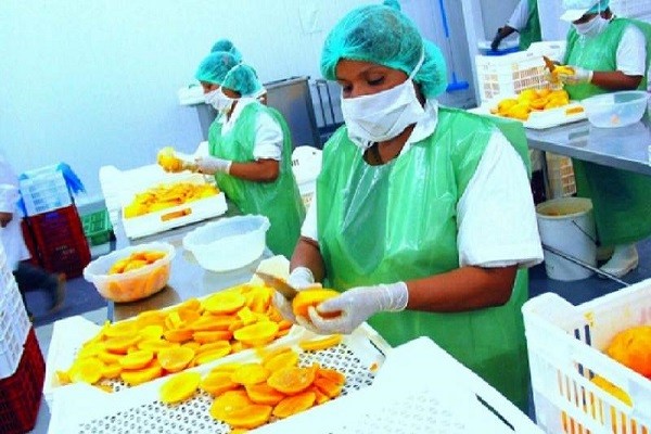 Mucha atención, eliminan barreras para que las mipymes contraten con el Estado