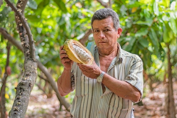 Hoy se firmaran convenios millonarios con productores agropecuarios huilenses