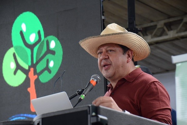 En el Huila serán sembradas 2.000.000 de nuevas plántulas de cacao