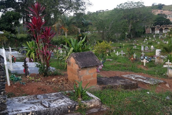 Repudiable caso de necrofilia se presentó en el municipio de Timaná