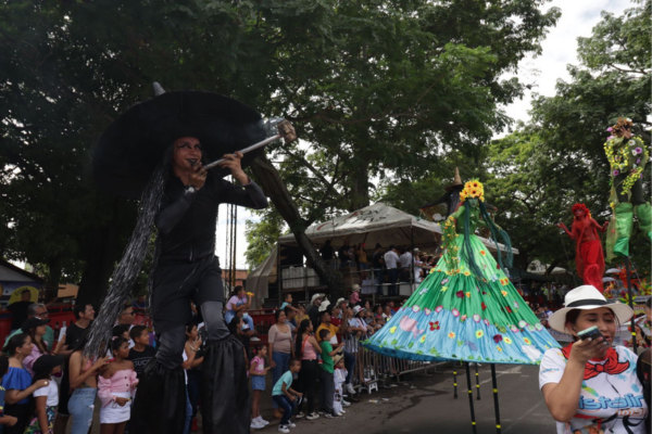 Abierta convocatoria para la subasta de espacios públicos en San Pedro