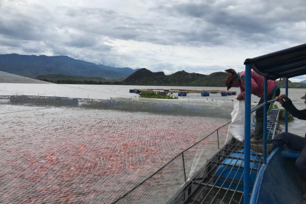 ¿Qué esta pasando en la Represa de Betania?
