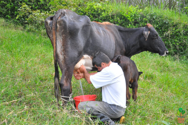 Inicio el proyecto para definir la Unidad Agrícola Familiar en el Huila