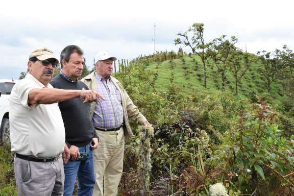 San Isidro, Huila, produce café conservando bosques