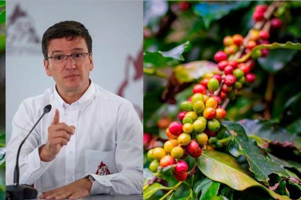 “No hay crisis en el sector cafetero colombiano”, según el gerente de la Federación