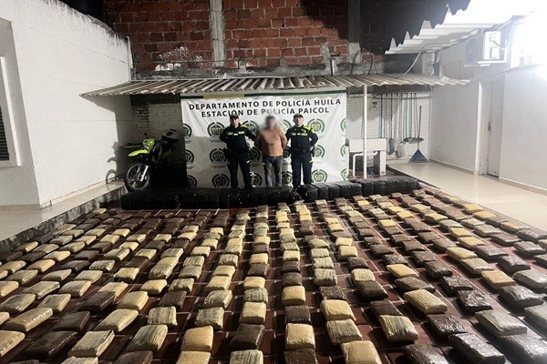 Cayó media tonelada de marihuana en Paicol