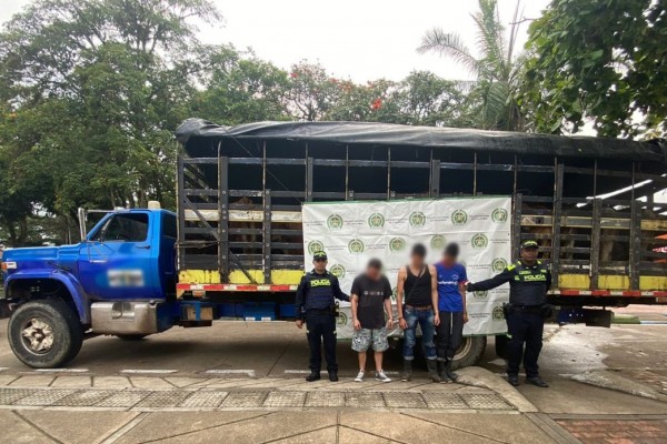 Sujetos pretendían hurtar 20 cabezas de ganado en Suaza
