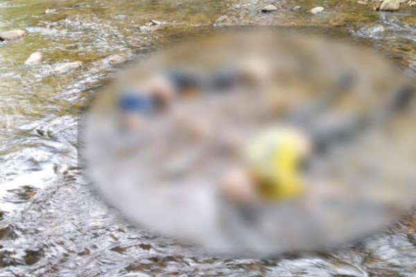 Doble crimen genera zozobra en Zuluaga