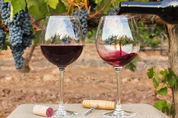 Regresa el festival del vino y la cerveza a Neiva