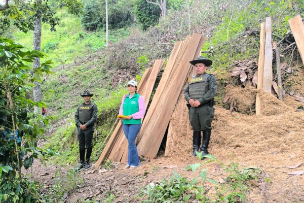 Capturados por tala indiscriminada de árboles en Garzón
