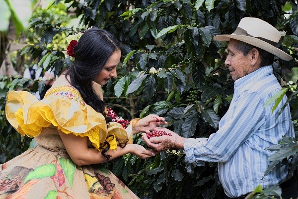 14 años lleva el Huila como primer productor de café en Colombia