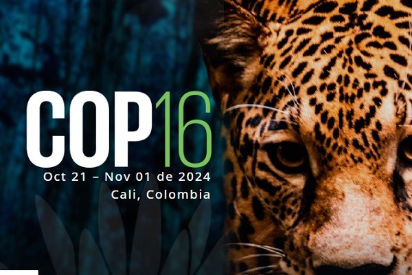 La propuesta central de Petro en la COP 16