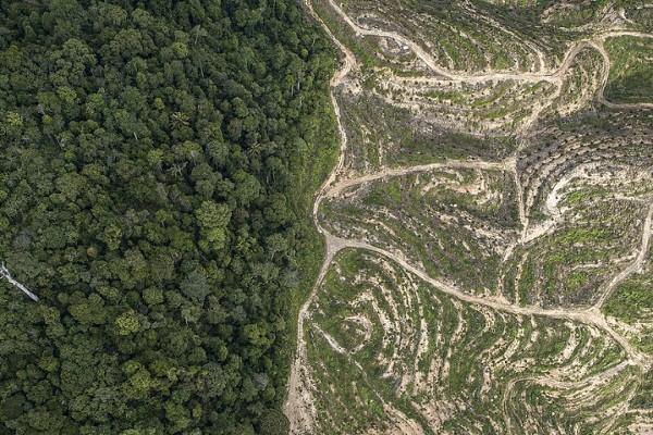 Contralor General dice que hay prácticas corruptas en la gestión ambiental del país