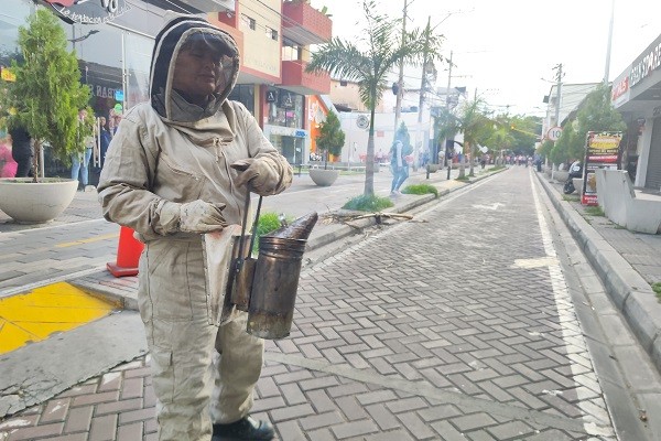 Seis personas se recuperan tras el ataque de abejas de este martes en la tarde en Neiva