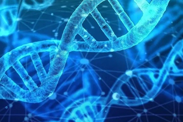 La genética y la importancia de sus datos, discutidos en la COP16