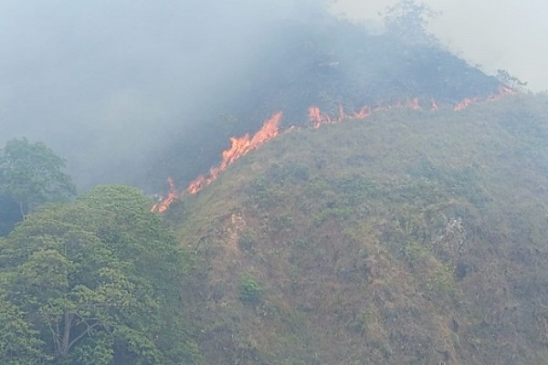 Europeos estudian incendios forestales en el mundo