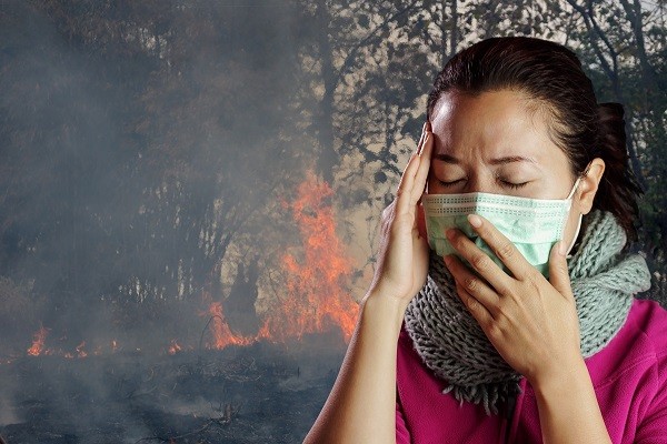 Mortalidad humana aumentó por incendios forestales