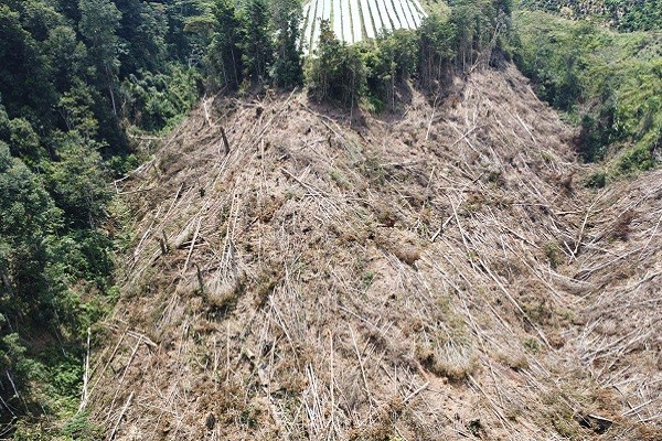 Seis personas capturadas por aprovechamiento ilícito de recursos naturales