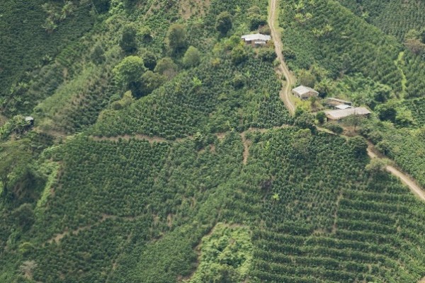 El Huila sigue avanzando en su ordenamiento rural