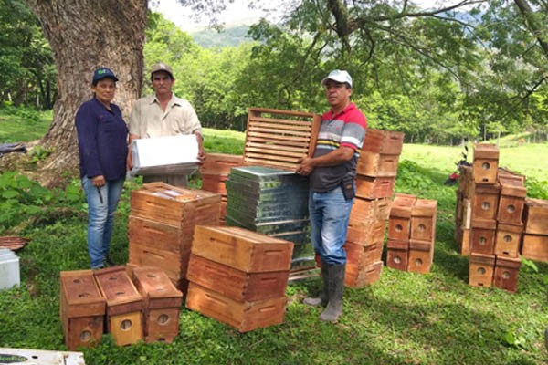 130 proyectos ambientales se presentaron a convocatoria de Educación Ambiental-Proceda