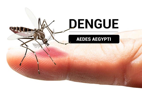 Jornada Contra el Dengue en el Huila: Un Llamado a la Prevención