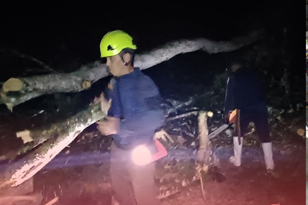 Bomberos de Timaná atendieron emergencia por deslizamiento en Alto Santa Bárbara