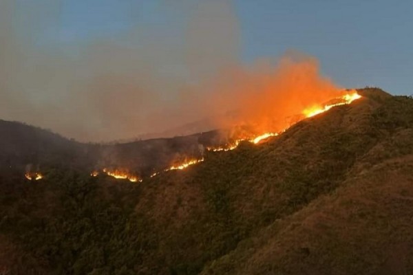 Neiva se prepara para prevenir incendios forestales