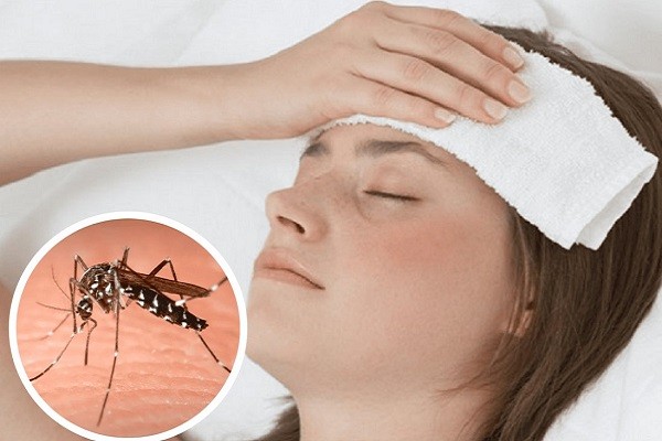 Como prevenir el dengue en sus casas