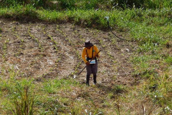 Abren convocatoria para Incentivo de Capitalización en Gestión de Riesgos Agropecuarios 2025