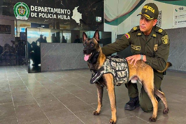 Rescatan un canino utilizado por grupo armado