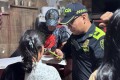 Ni en Semana Santa pararon las intervenciones de comunas en Neiva